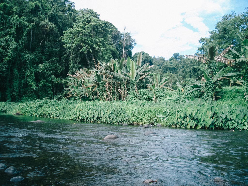 A stretch of the Nala River, Tuvamila. 2 of 3