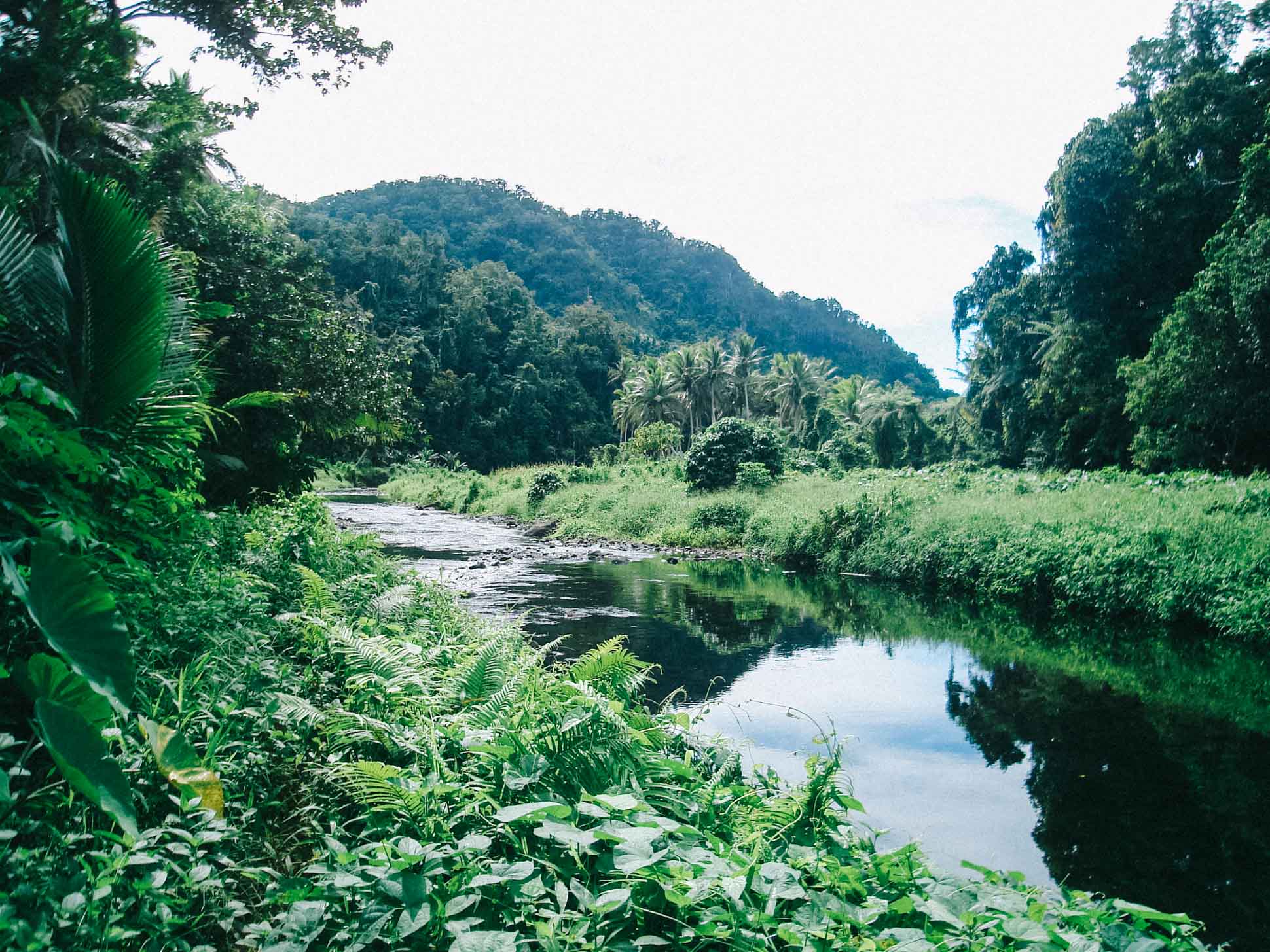 River meandering through a valley