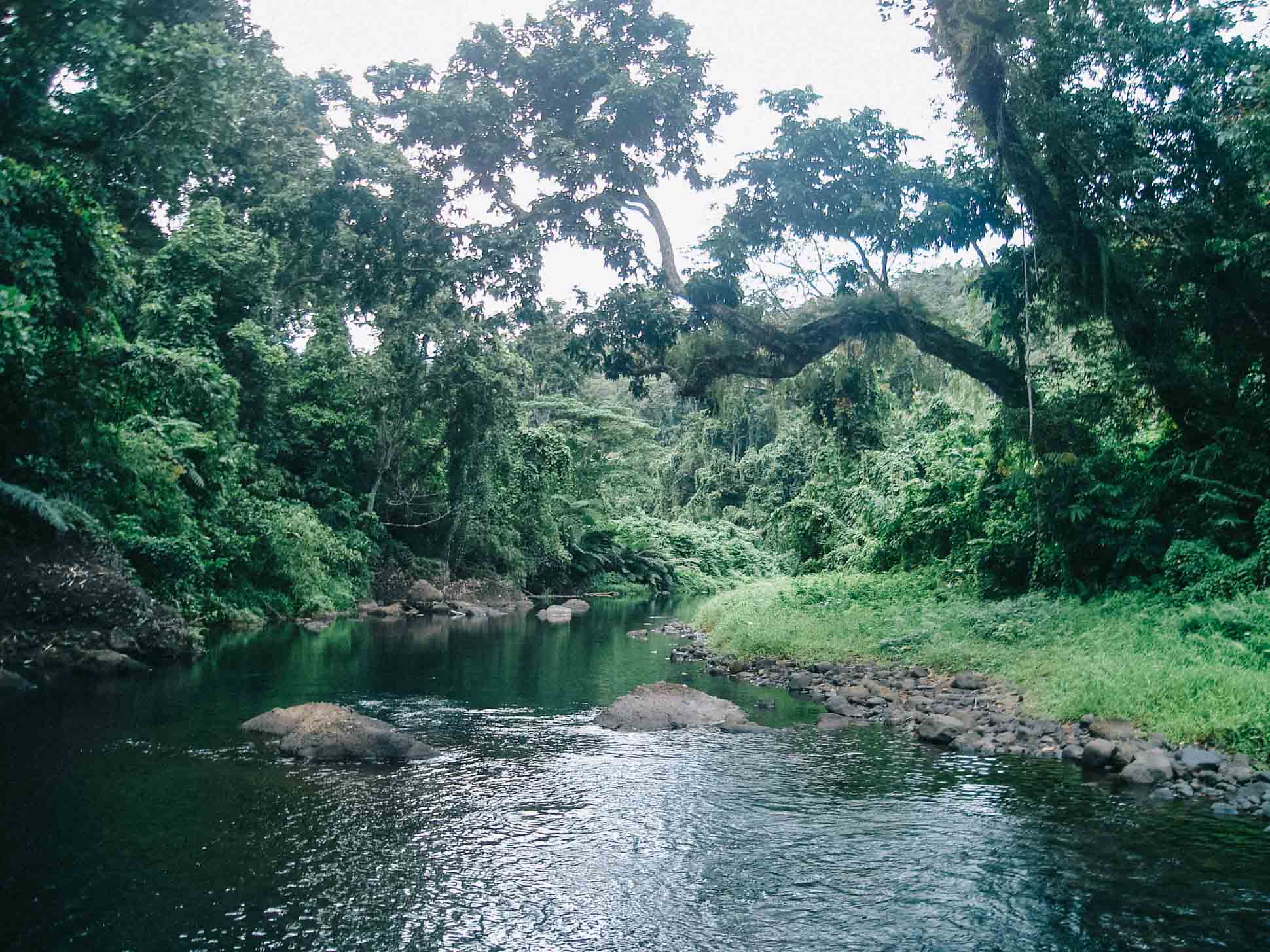 A stretch of the Nala River, Tuvamila Plantation