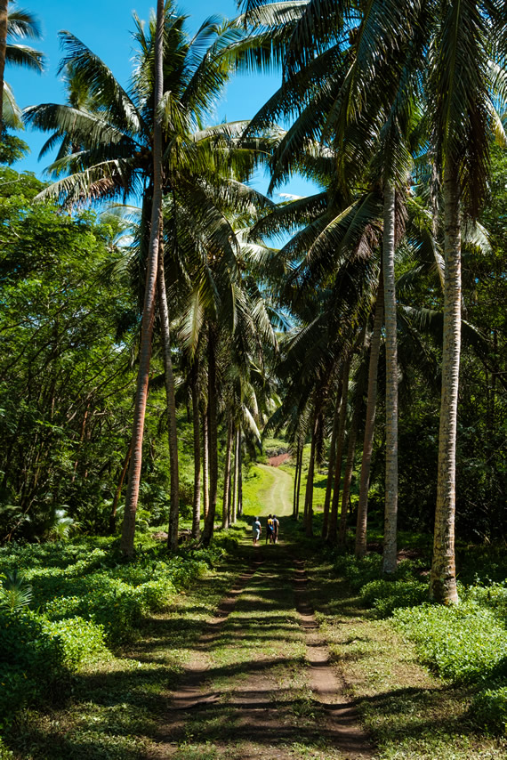 Tuvamila Estate driveway