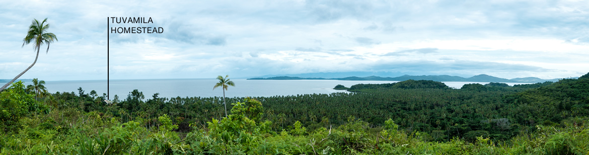 Tuvamila estate view