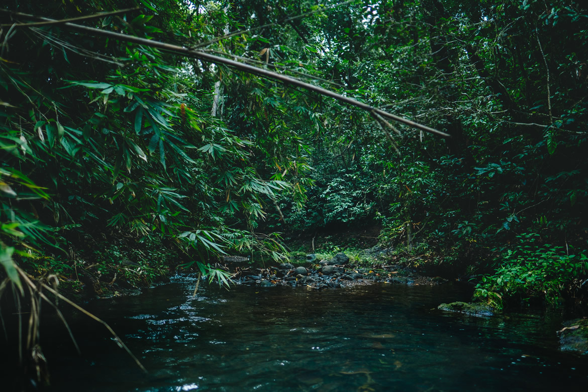 Daku Creek meanders through Tuvamila Estate