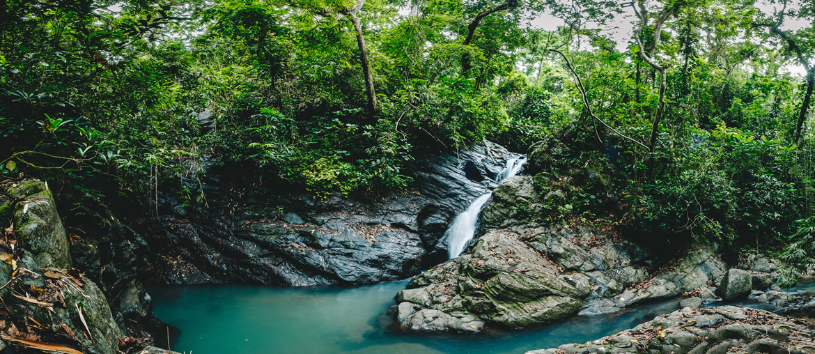 The waterfall at Tuvamila Estate